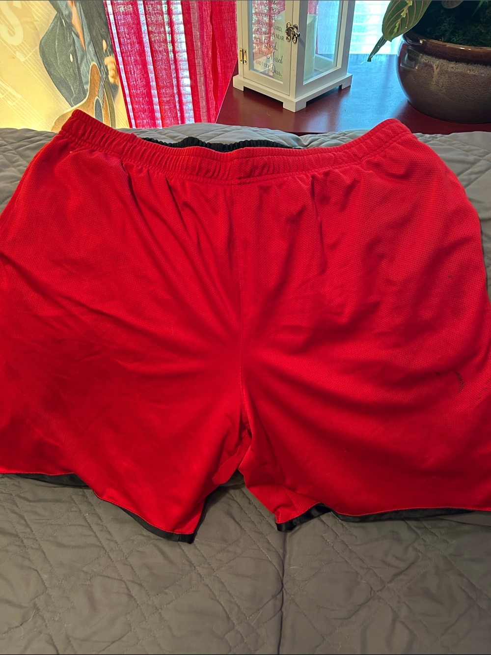 Red Athletic Mesh Shorts